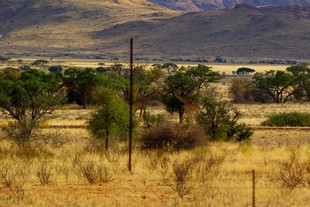 262 Namibia Okt 2006 .JPG